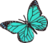 butterflybluezog