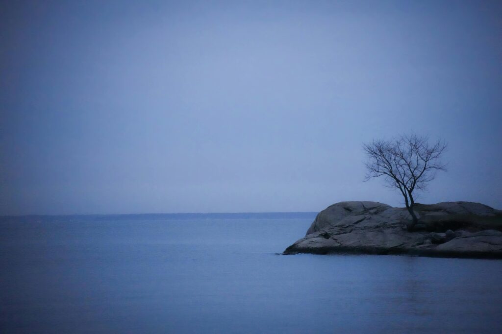 A lone tree on a rocky shore with a serene blue sea at dusk, evoking tranquility.